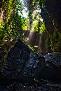 Bali 2024.04.20 Tour 1.1 Tukad Cepung Wasserfall-1753