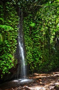 Bali 2024.04.20 Tour 1.1 Tukad Cepung Wasserfall-1813