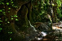 Bali 2024.04.20 Tour 1.1 Tukad Cepung Wasserfall-1855