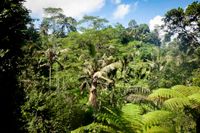 Bali 2024.04.20 Tour 1.1 Tukad Cepung Wasserfall-1898