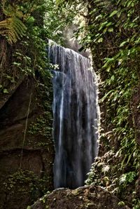 Bali 2024.04.20 Tour 1.2 Goa Raja Wasserfall-1913