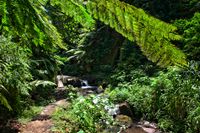 Bali 2024.04.20 Tour 1.2 Goa Raja Wasserfall-2077