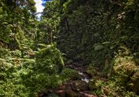 Bali 2024.04.20 Tour 1.2 Goa Raja Wasserfall-2083