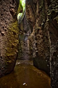 Bali 2024.04.20 Tour 1.3 Grudugan Wasserfall-2433