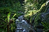 Bali 2024.04.20 Tour 1.4 Krisik Wasserfall-2637