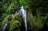 Bali 2024.04.20 Tour 1.4 Krisik Wasserfall-2940