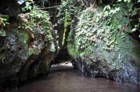 Bali 2024.04.20 Tour 1.4 Krisik Wasserfall-2982