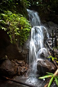 Bali 2024.04.20 Tour 1.4 Krisik Wasserfall-3079