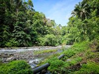 Bali 2024.05.01 Tour 4.16 Avatar Rafting-103939