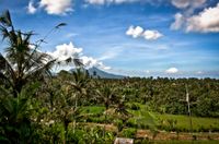 Bali 2024.05.01 Tour 4.17 Bendungan Kastala Reisterrassen 8466