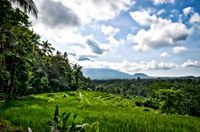 Bali 2024.05.01 Tour 4.17 Bendungan Kastala Reisterrassen 8515