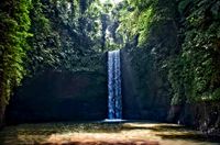 Bali 2024.05.02 Tour 5.21 Tibumana Wasserfall-9497