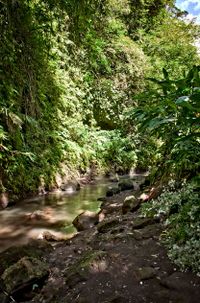 Bali 2024.05.02 Tour 5.21 Tibumana Wasserfall-9617