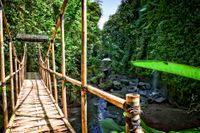 Bali 2024.05.02 Tour 5.21 Tibumana Wasserfall-9679