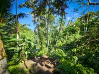 Bali 2024.05.02 Tour 5.22 Abagan Wasserfall-144241