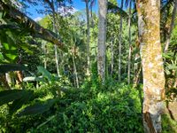 Bali 2024.05.02 Tour 5.22 Abagan Wasserfall-144255