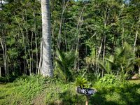 Bali 2024.05.02 Tour 5.22 Abagan Wasserfall-144509