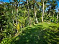 Bali 2024.05.02 Tour 5.22 Abagan Wasserfall-144511