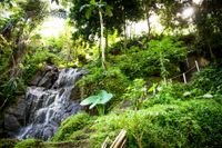 Bali 2024.05.02 Tour 5.22 Abagan Wasserfall-9981