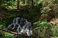 Schwarzwald 24.05.2022 Steinwasenpark Buselbachwasserfall Haldenb&auml;chle Wasserfall-19